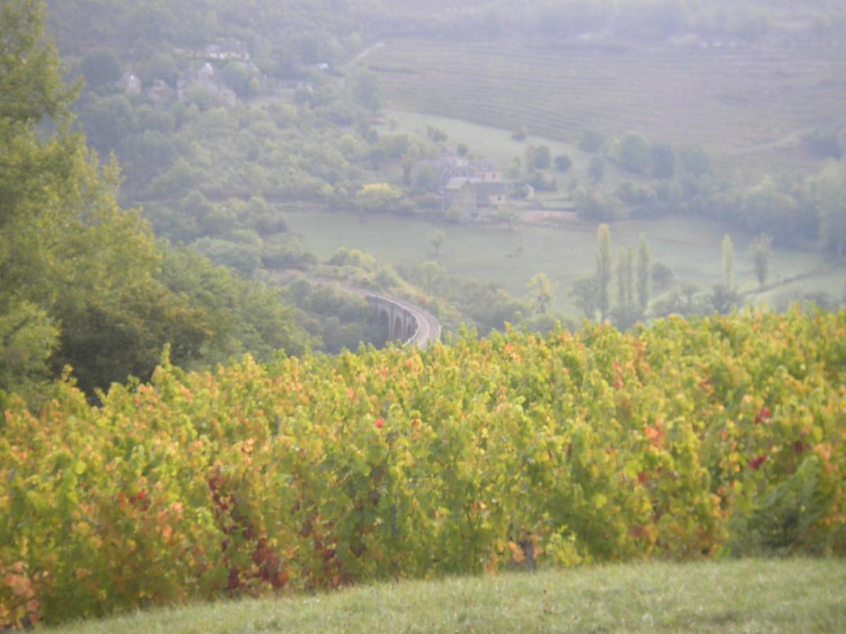 Maison Isolee Dans Les Vignes Et Les Bois Valady Exterior photo